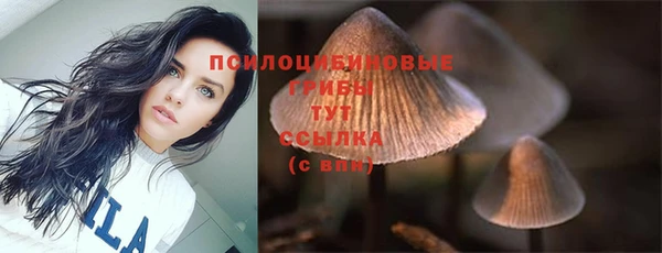 дмт Медвежьегорск