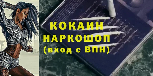 дмт Медвежьегорск