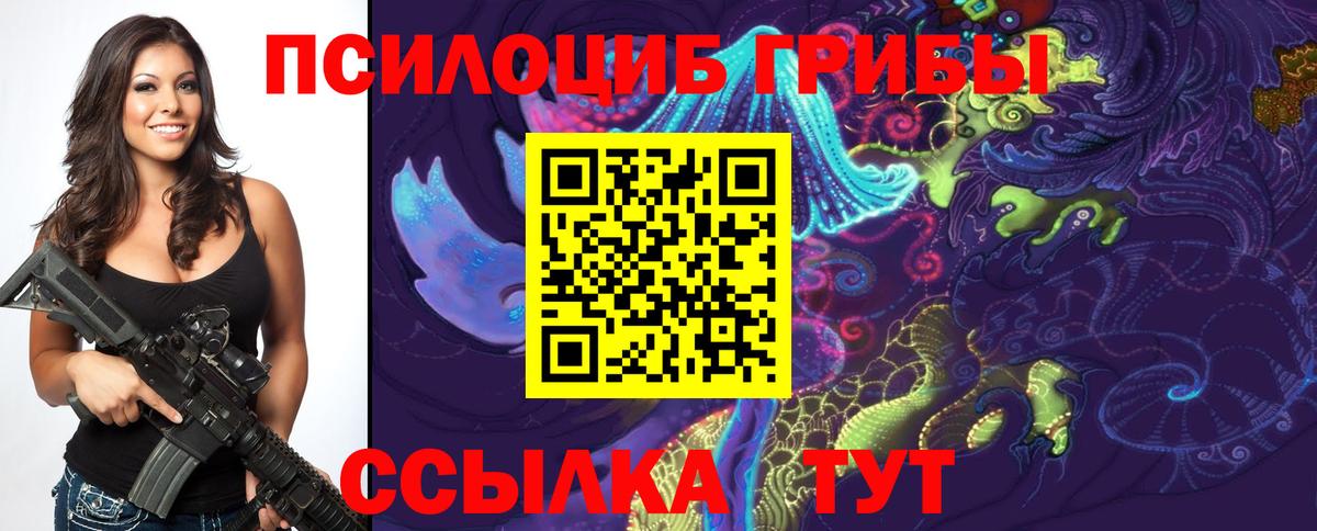 Псилоцибиновые грибы прущие грибы  Топки  Галлюциногенные грибы прущие грибы 