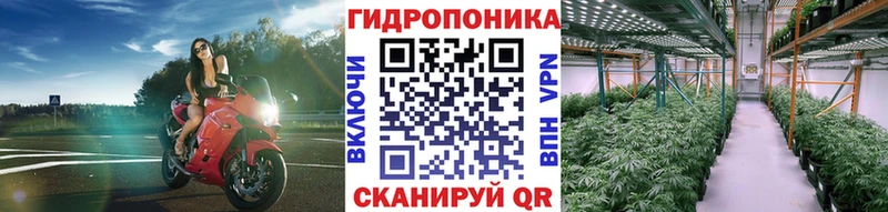 Бошки Шишки LSD WEED  shop телеграм  Топки  купить наркотики сайты 